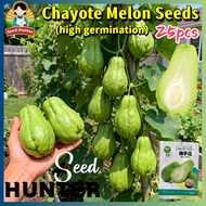 High Yield Chayote Seeds for Planting Vegetables (High Germination 25 Seed) Organic Pickled Sayote C