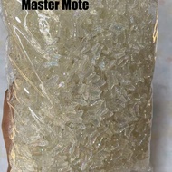 1 pound clear white bone butterfly bead