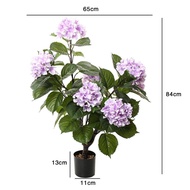 Bonsai Living Room Hydrangea Hall Decoration Conference Hall pe Potted Material Simulation Flower Po
