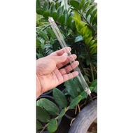 24.5 Cent Uv Sterilization Lamp