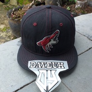 topi second coyotes NHL