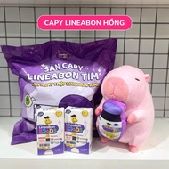 Blind bag D3k2 Lineabon Super cute Capybara stuffed animal (size 20cm)