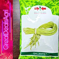 GALANTE SITAO SEEDS (KILO) EAST WEST SEEDS