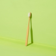 元氣竹牙刷系列-元氣軟毛竹牙刷(兩支組)