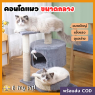 🐱O My Pet!🐶 คอนโดแมว 2ชั้น งานไม้รุ่นหนา + เบาะนุ่นนุ่ม ขนาด 55 เซน สีเทา-ครีม หรูหรา พร้อมส่ง