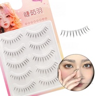 5 cặp tự nhiên trông đầy đủ lông mi anime áo len Manga Manga Mang Mang