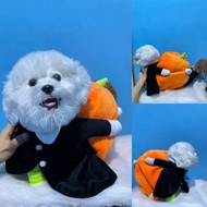 PUMPKIN DOLL COSTUME FOR DOGS AND CATS UNIQUE AND CUTE | ANIMAL CLOTHES PUMPKIN DOLL CLOTHES FOR UNI