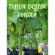 Benih Timun/Cucumber Seeds -10 pcs