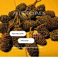 ALDER CONES (Erlenzapfen Cone) - NORTH AMERICAN PINE FRUIT / BLACKWATER