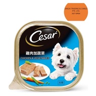 Cesar Dog Wet Food Chicken And Vegetables 100g