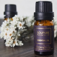 溯璞家品 喚醒繆思女神 清新 桉油醇有機迷迭香 單方純原精油