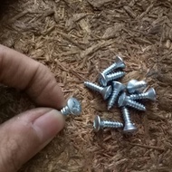 Philips screw 10x5/ 8" 4.8mm x 16mm