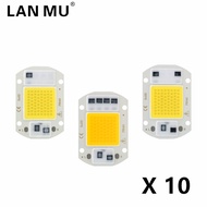 10pcs 110V 220V LED Chip 10W 20W 30W 50W COB Chip No Need Driver LED Lamp Beads for Flood Light Spotlight Lampada DIY Lighting