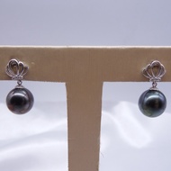 Real Tahitian Black Pearl 14K White gold  EARRING