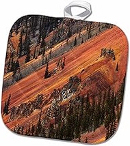 3D Rose Colorado-San Juan Trees-and Slopes of Anvil Mountain Pot Holder, 8 x 8