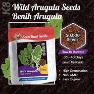 [10g] K8 Benih Salad Rocket Wild Arugula Soon Huat Seeds
