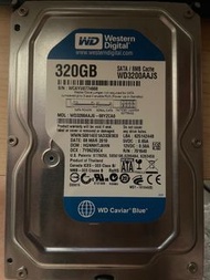 WD 320GB 3.5HDD