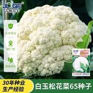 [Local Growing] Local Growing] Pine Cauliflower Seed Seeds Seeds Autumn Cauliflower Seeds Spring Cau