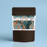 肯亞東非大裂谷 AA TOP/ 淺焙 / 新產區 / 超派 / 濾掛 / 團購