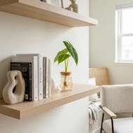 絨葉觀音蓮 三角水耕盆栽 室內植物 觀葉植物 禮物 水培 桌上盆栽