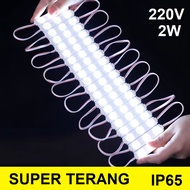 MATA [TE] Led Light Module 3 Eyes/WATERPROOF 3 Eyes 220V/WATERPROOF/3 Eyes led Light 2W led Module 2