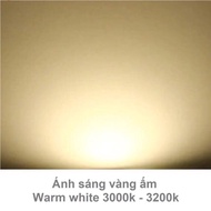 Bóng đèn led tròn 30w Rạng Đông