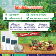 6-Benzylaminopurine 99% ไซโตไคนิน 500 กรัม #6-BA (6-Benzylaminopurine 99% tc ) #6-ba #ไซโตไคนิน