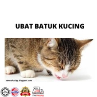 Cat Fever Cough Medicine (Seboard)