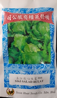 Soon Huat S163 Iceberg Lettuce (Salad Bulat) Vegetable Seed