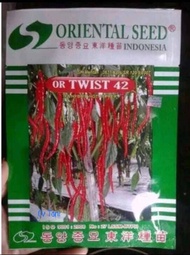 benih cabe keriting TWIST OR42