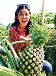 Bibit Nanas Jumbo / Bibit Buah / Tanaman Voc