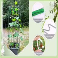 Tomato Hooks with Cord Tomato Hooks with 40 Plant Buckles for Hanging Tomato Garden Tomato Hooks