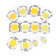 TasteTasty 1pc cob led light dc led bulb chip on board 10W 20W 30W 50W 70W 100W 2 colors MY
