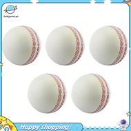 【ouwym9al】Sports Cricket, Training Cricket, Sports Wind Swing Rebound Cricket, Elastic Decompression