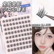 【Shipment Within 24 Hours】 Three Step Self Adhesive False Eyelash No Glue Needed Natural Cluster Seg