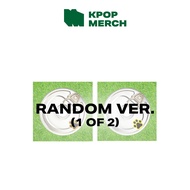 POW - [ BEING TENDER ] Compact ver.