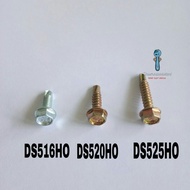 Self Drilling Screw DS516HO DS520HO DS525HO Screw Besi Channel | Hexagon Head Skru Besi Bumbung