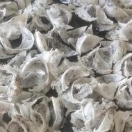 Sarang Burung Walet Wallet Mangkok 1KG Asli Kalimantan