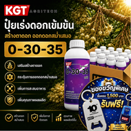 KGT ยกลัง! ปุ๋ยเร่งดอกเข้มข้น 0-30-35 สร้างตาดอก ออกดอกสม่ำเสมอ ปุ๋ยเหลว 1 ลัง (12 ลิตร)