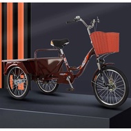 Adult cargo tricycle