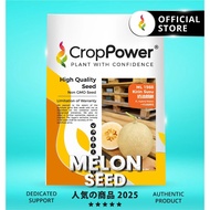 (100 SEEDS) Biji Benih Melon Kirin Susu 奶油麒麟 ML1988 CROP POWER F1 Hybrid Melon seeds  蜜瓜种子  ML 1988