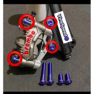 GR5 Titanium Monoblock Caliper Bolts
