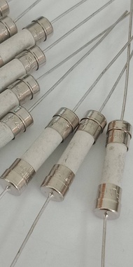 (แพ็ค5ชิ้น) Slow blow Fuse T3.15A 250VAC T3.15AH 250VAC 20mm แบบหางหนูมีขาลวด ฟิวส์กระเบื้อง 3.15A 2