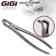 GIGI Tools Tooth Extracting Forceps FIG 79 Adult Forceps For Professional Dentists Stainless CE