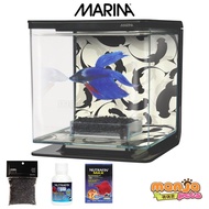❄Marina Betta Aquarium Kit 2L Black - Fish Tank (13348)♀
