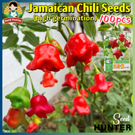 High Yield Fresh Jamaican Chili Pepper Seeds for Planting Vegetables Plants (Fast Growing 100 Seed) 
