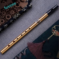 FUSIONEDGE Irish Whistle Flute, 6 Hole D Key Ireland Flute, Musical Accessories Professional Alloy G