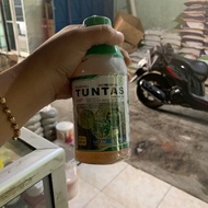 obat rumput-rumputan liar tuntas