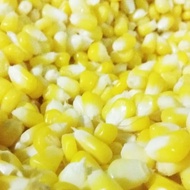 jagung manis pipil kupas 1kg untuk jasuke corn soup