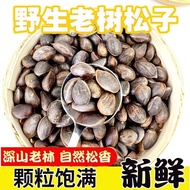 Northeast Wild Pine Nuts 25 New Red Pine Nuts Extra Large Particles Hand Peeled Wild Pine Nuts Pregn